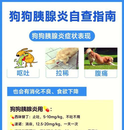 了解狗狗止吐针剂的种类和用途（详解常见的狗狗止吐针剂及其作用）