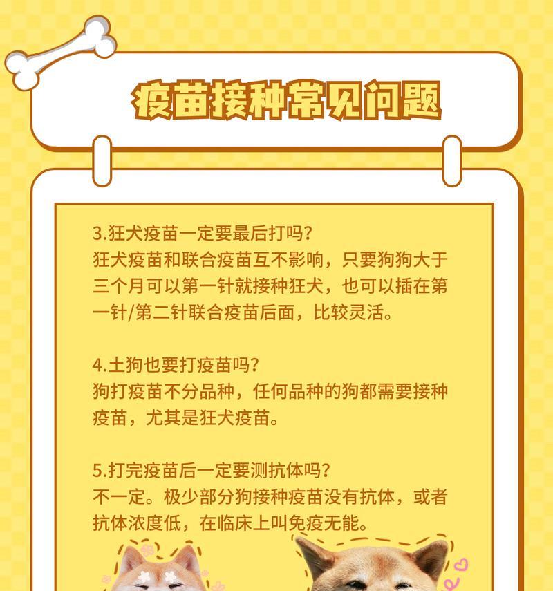 狗狗疫苗保护期（了解狗狗疫苗的保护时间及注意事项）