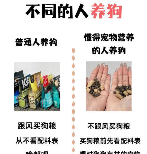 狗狗的不同年龄段饲养需求（不同年龄狗狗饲养需注意的事项）