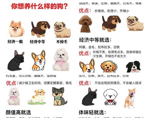狗狗配种后多久能看出是否成功（配种后多久能确定狗狗是否怀孕？）