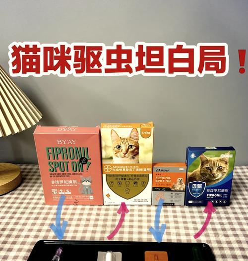 猫咪打虫（多久一次？什么时候开始？）