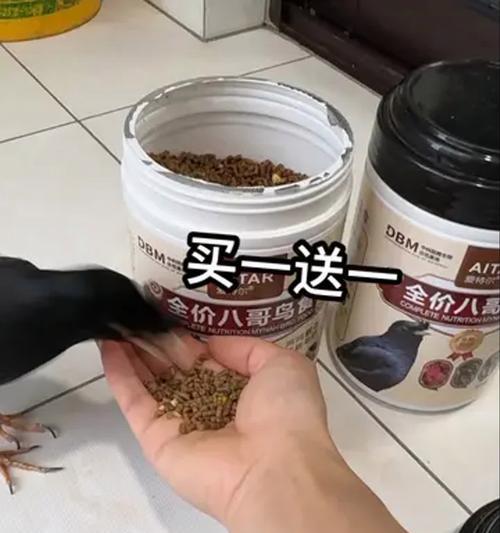 八哥自配饲料（掌握八哥饲料制作方法视频，打造健康食谱）
