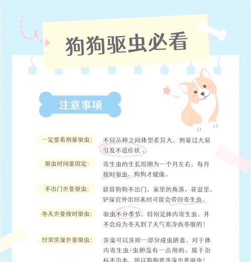 如何正确使用驱虫药来解决狗狗的跳蚤蜱虫问题（驱虫药的正确使用方法及注意事项）