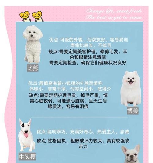 以泰迪断尾后需多久才能康复？（探讨泰迪断尾手术后的康复周期及注意事项）