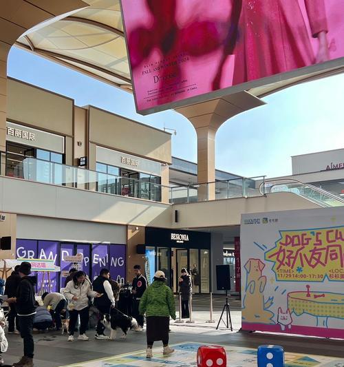 成都宠物友好商场大揭秘（成都市内哪些商场欢迎宠物入内，为您一一盘点）