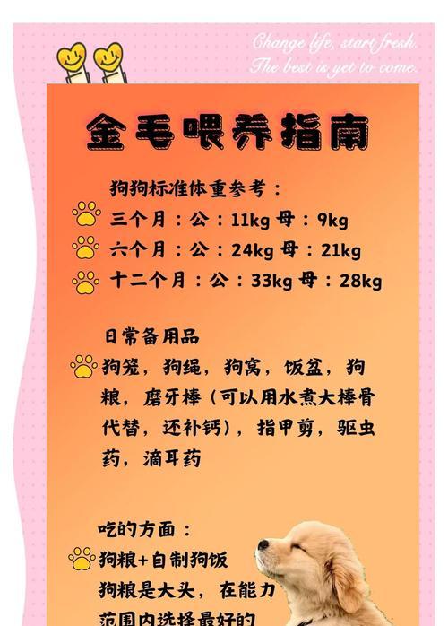 金毛幼犬的饮食需求及时长（了解金毛幼犬饮食需求，让它健康成长）