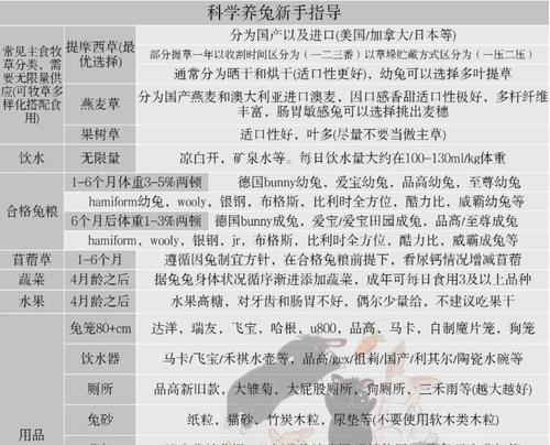 新手养兔宠物，从零开始的顶级攻略