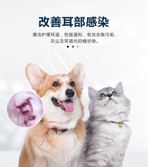 如何用低成本治疗狗狗耳螨（探索经济有效的方法帮助狗狗摆脱耳螨的困扰）