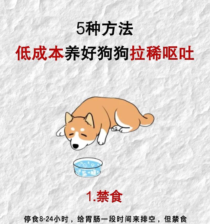 狗拉稀恢复周期及关键因素解析（揭秘狗狗拉稀的康复时间及关键要素）