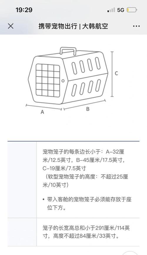 宠物狗出门的最佳时机（犬类行为习性与出门频率的关联）