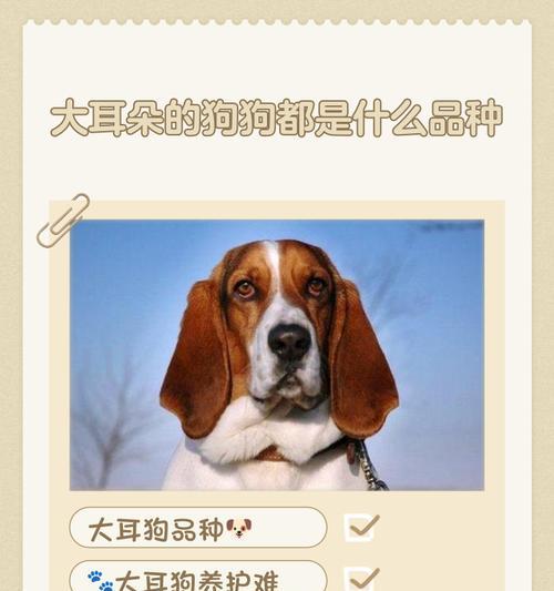 不建议人饲养的狗狗品种（了解这些品种的原因及风险，避免不必要的困扰）