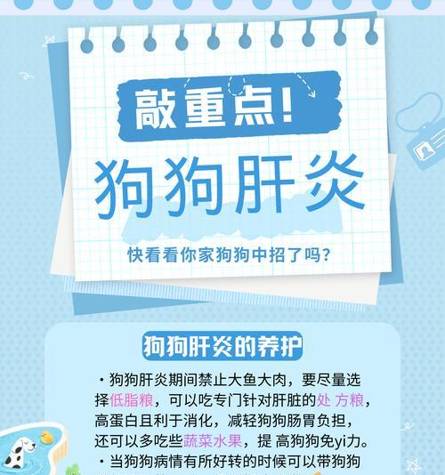 狗狗肝脏的功能及治疗狗狗肝炎的方法（了解狗狗肝脏的功能和如何治疗狗狗肝炎）