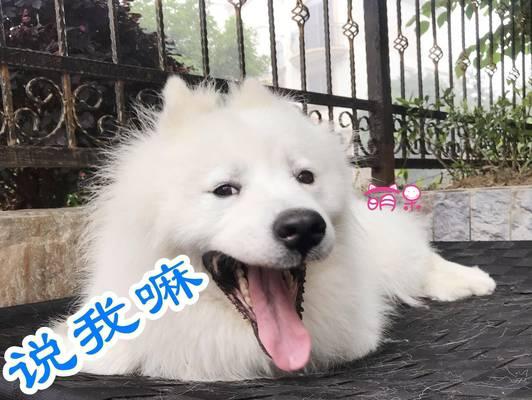 夏天来临，脱毛要多久？（了解脱毛的过程和耗时，让你更从容迎接夏天！）