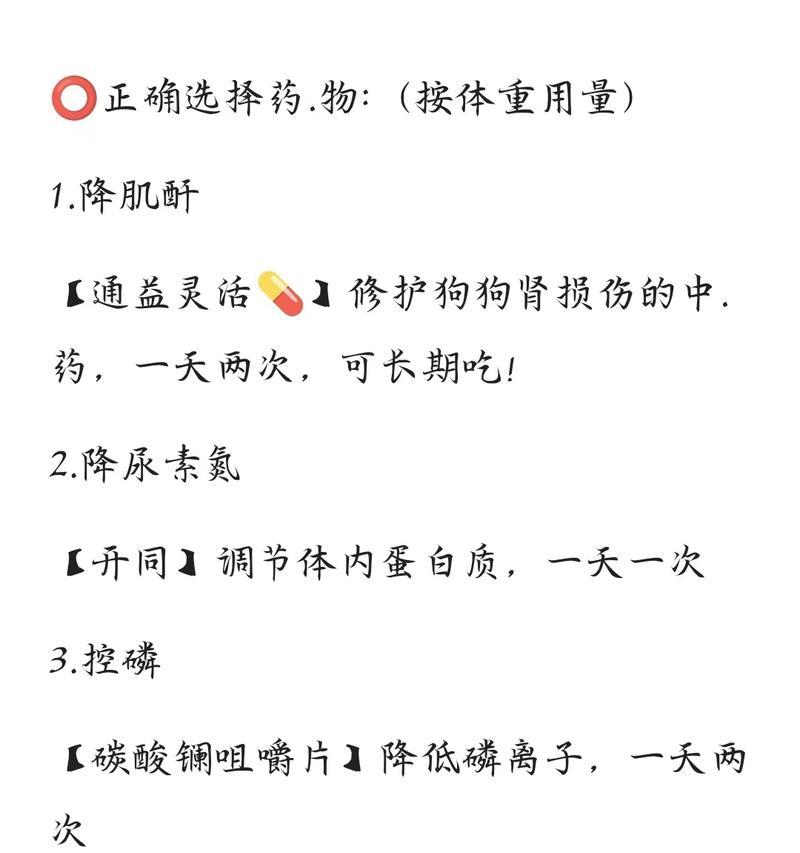 狗的肾衰竭患者的预期寿命（探索狗在患有肾衰竭时的生命期限和护理方法）