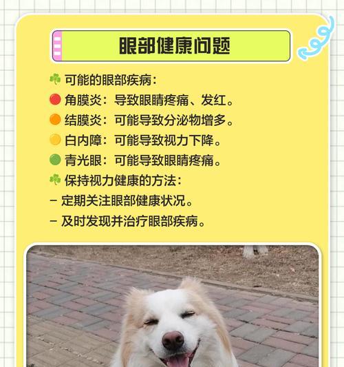 边牧体外驱虫频率探究（为保护边牧健康，合理驱虫至关重要）