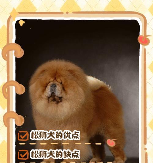照顾松狮犬的饲养技巧（了解松狮犬的特点，科学照料它们）