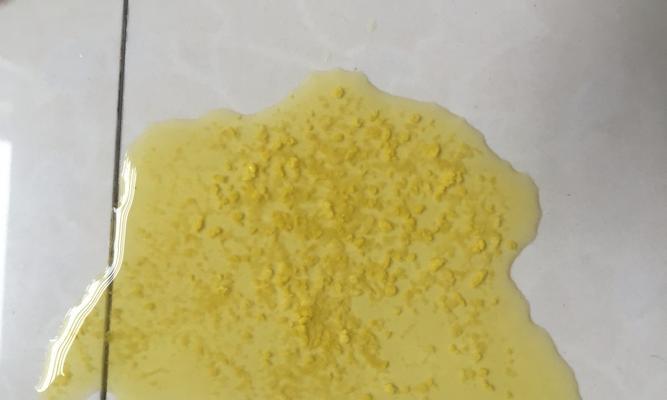 小狗的大便频率如何判断正常？（了解小狗的排便习惯，掌握健康指标）