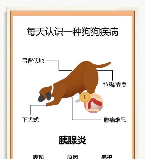 狗狗大便干燥的原因及检查方法（探究狗狗大便干燥的常见原因以及相关检查方法）