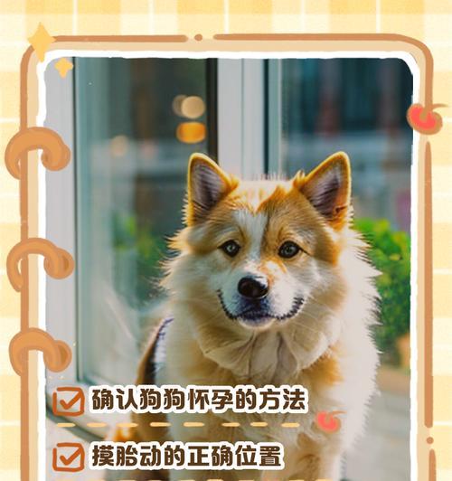 狗狗胎动的时间及其重要性（狗狗胎动时间预测和监测的方法及技巧）