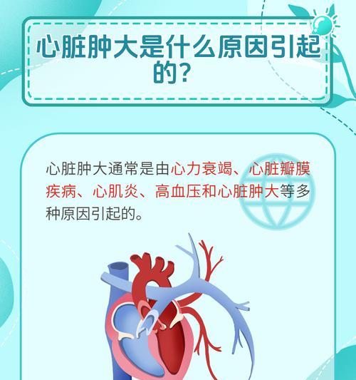 2个月泰迪生病的症状及应对措施（了解泰迪生病症状，保护你的爱宠健康）