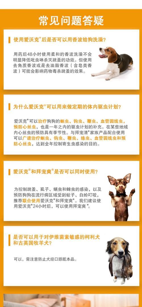 狗怀孕多久能驱虫？（了解狗狗驱虫的最佳时间和方法）