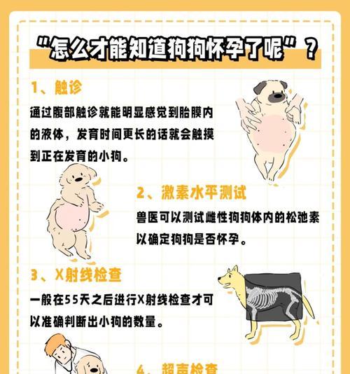 小鹿犬怀孕多久生的全过程（探秘小鹿犬的妊娠期和分娩过程，详解宝宝的健康成长）