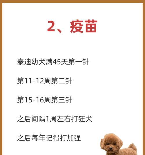 冬季养泰迪，别做这些事！（冬季养泰迪注意事项，让你的宠物健康快乐度过寒冷季节）
