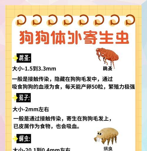 狗狗打虫的时间间隔（宠物养护知识｜养狗注意事项）