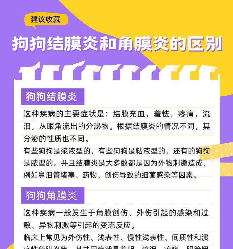 治疗狗狗结膜炎的措施（主人可以如何帮助？）