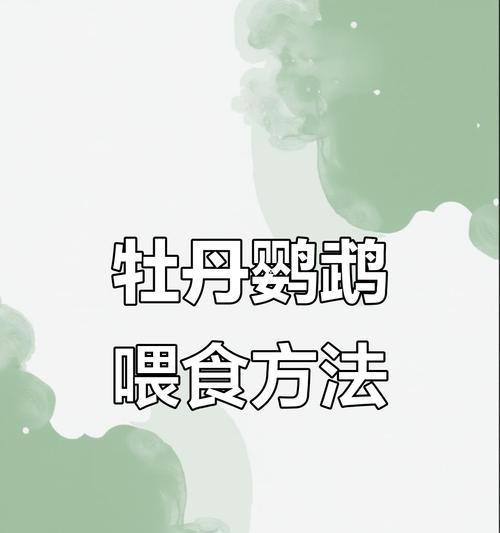 红牡丹鹦鹉的饲养之道（科学合理喂食，宠物鹦鹉健康成长）