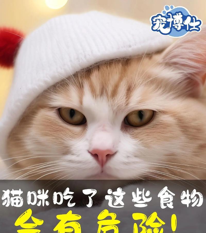 猫咪可以吃花生吗？（了解猫咪食物喜好和安全性，让它们适量享受花生的好处）