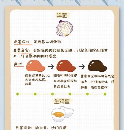 幼犬消化食物需要多久？（探寻幼犬消化食物的速度与需求）