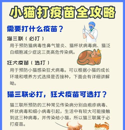 小猫疫苗与驱虫的注意事项（养猫必知，守护爱宠健康）