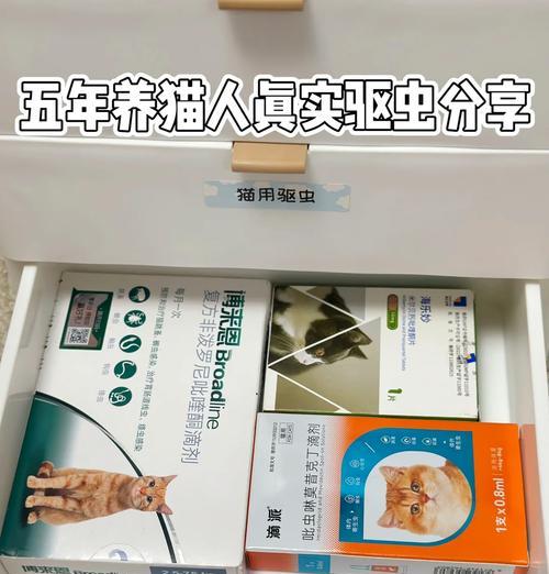 猫咪驱虫药保质期究竟有多长？（了解猫咪驱虫药的保质期重要性及常见问题解答）