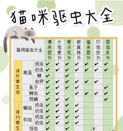 猫的体内驱虫周期及（宠物猫应该多久进行一次体内驱虫？）
