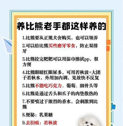 比熊每年需接种的疫苗（保护你的比熊免受疾病侵袭）