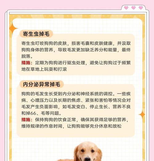 狗狗的毛发生长周期有多长？（揭秘狗狗毛毛生长的奥秘及如何促进生长）