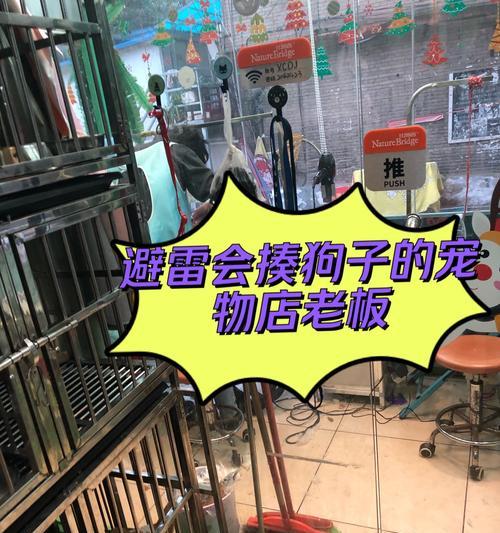 探索贵阳市的犬舍文化（贵阳市犬舍的种类和特色）
