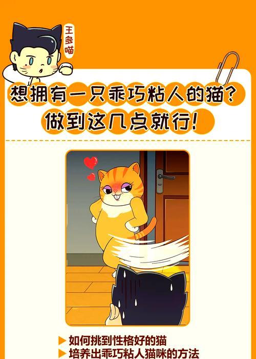 如何解决猫咪随地大小便问题（有效方法让猫咪不再乱拉）