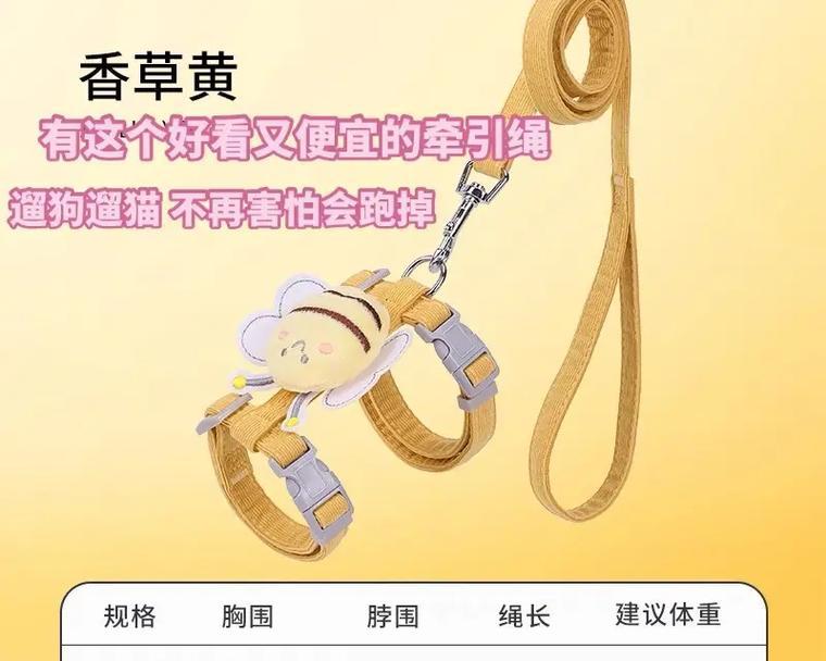 带狗狗遛弯要注意的7个重要事项（避免这些错误方式，确保你的狗狗的安全和健康）