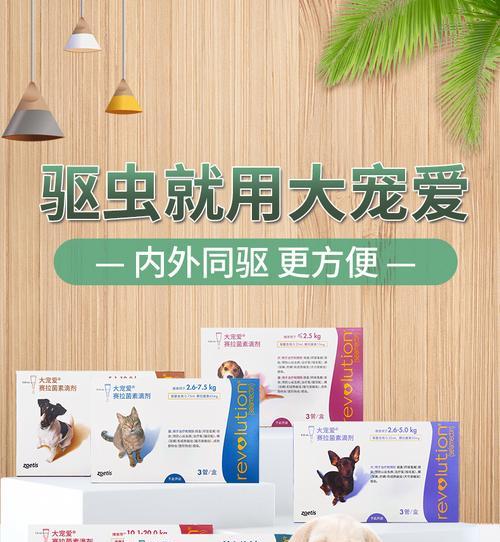 金毛犬吃打虫药需要多长时间？（探讨金毛犬吃打虫药的持续时间及注意事项）