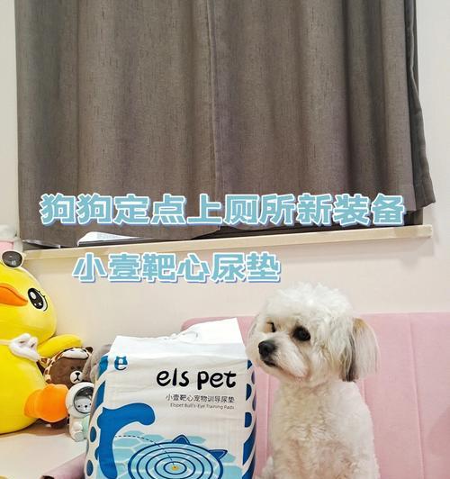 泰迪狗的憋气能力之谜（探索泰迪狗憋气能力的秘密和训练方法）