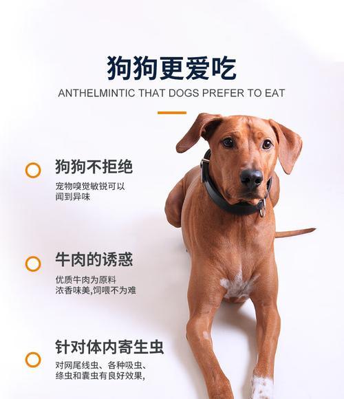 小狗驱虫药详解（了解不同类型的小狗驱虫药以及正确用药方法）