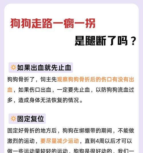 狗腿骨折康复时间及重返活动的关键（狗腿骨折康复时间与各种因素相关）