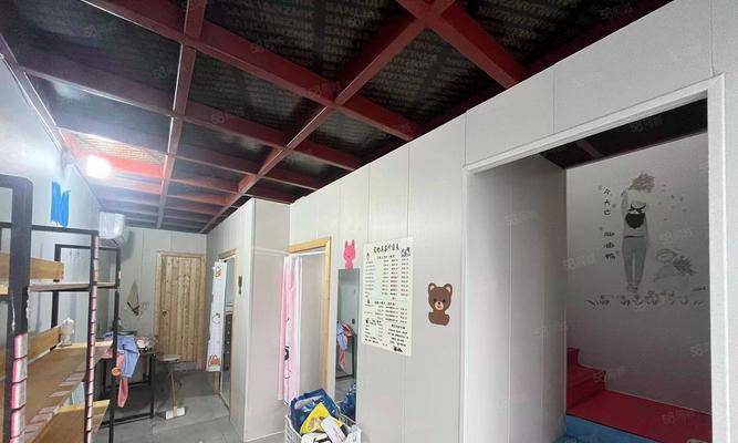 宠物店设备全揭秘（一站式购物体验，设备齐全、品质保证）