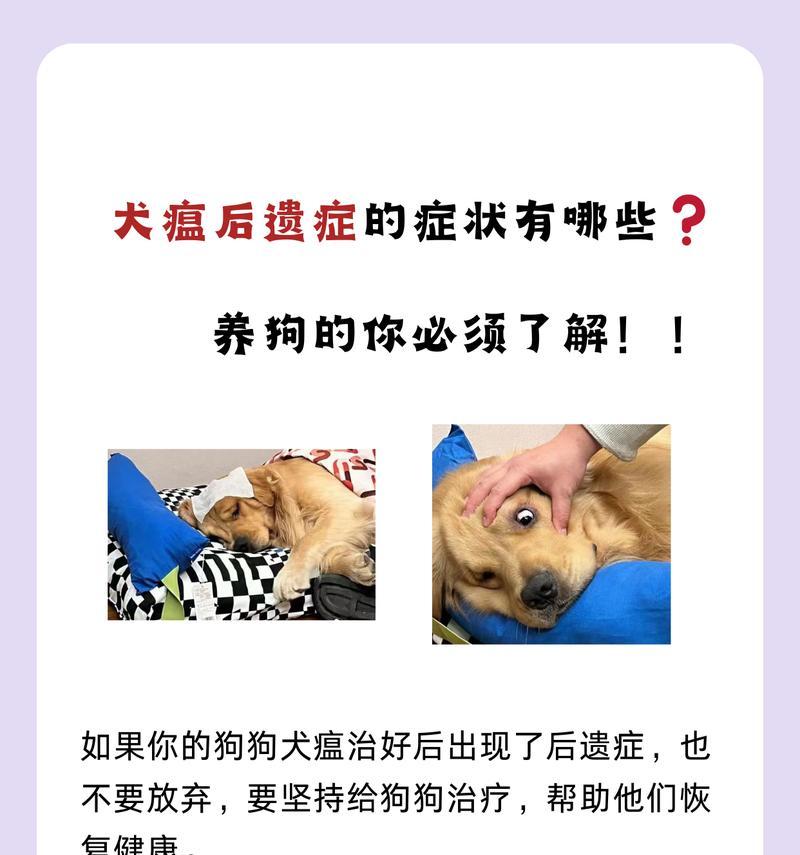 狗瘟治愈时间及关键因素分析（揭秘狗瘟康复时间的关键要素与方法）