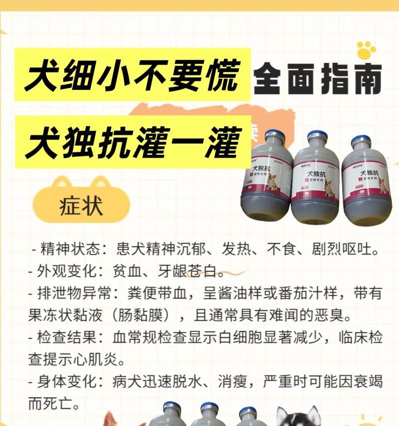 狗狗每天需要喝多少水？了解正确的水量（喝太多或者太少都会生病，正确掌握水量很重要）
