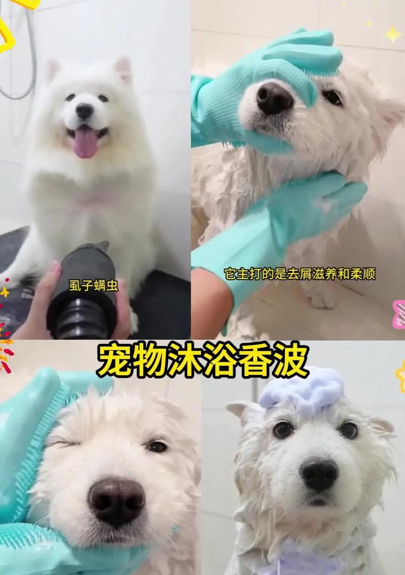 宠物洗澡频率的科学选择（宠物洗澡的关键是合理把握频率）