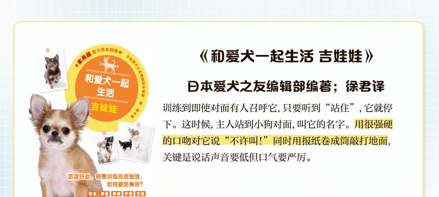 饲养吉娃娃的五大注意事项（让你成为贴心狗爸狗妈的秘诀）