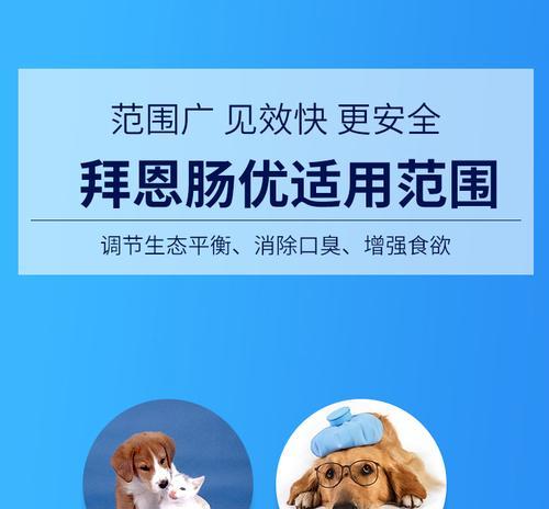 如何处理小泰迪着凉拉稀问题（保护宠物犬免受着凉拉稀之苦）